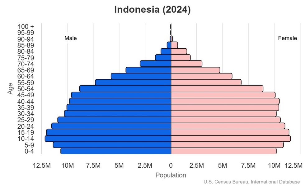 This is the population pyramid for Indonesia. A population pyramid illustrates the age and sex structure of a country's population and may provide insights about political and social stability, as well as economic development. The population is distributed along the horizontal axis, with males shown on the left and females on the right. The male and female populations are broken down into 5-year age groups represented as horizontal bars along the vertical axis, with the youngest age groups at the bottom and the oldest at the top. The shape of the population pyramid gradually evolves over time based on fertility, mortality, and international migration trends. <br/><br/>For additional information, please see the entry for Population pyramid on the Definitions and Notes page.