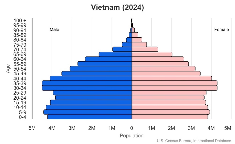 This is the population pyramid for Vietnam. A population pyramid illustrates the age and sex structure of a country's population and may provide insights about political and social stability, as well as economic development. The population is distributed along the horizontal axis, with males shown on the left and females on the right. The male and female populations are broken down into 5-year age groups represented as horizontal bars along the vertical axis, with the youngest age groups at the bottom and the oldest at the top. The shape of the population pyramid gradually evolves over time based on fertility, mortality, and international migration trends. <br/><br/>For additional information, please see the entry for Population pyramid on the Definitions and Notes page.