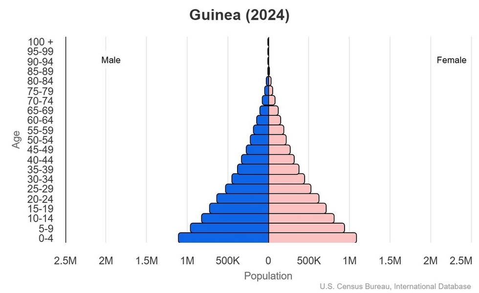 This is the population pyramid for Guinea. A population pyramid illustrates the age and sex structure of a country's population and may provide insights about political and social stability, as well as economic development. The population is distributed along the horizontal axis, with males shown on the left and females on the right. The male and female populations are broken down into 5-year age groups represented as horizontal bars along the vertical axis, with the youngest age groups at the bottom and the oldest at the top. The shape of the population pyramid gradually evolves over time based on fertility, mortality, and international migration trends. <br/><br/>For additional information, please see the entry for Population pyramid on the Definitions and Notes page.