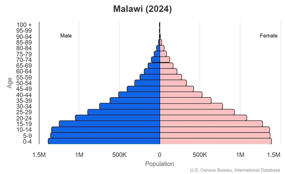This is the population pyramid for Malawi. A population pyramid illustrates the age and sex structure of a country's population and may provide insights about political and social stability, as well as economic development. The population is distributed along the horizontal axis, with males shown on the left and females on the right. The male and female populations are broken down into 5-year age groups represented as horizontal bars along the vertical axis, with the youngest age groups at the bottom and the oldest at the top. The shape of the population pyramid gradually evolves over time based on fertility, mortality, and international migration trends. <br/><br/>For additional information, please see the entry for Population pyramid on the Definitions and Notes page.
