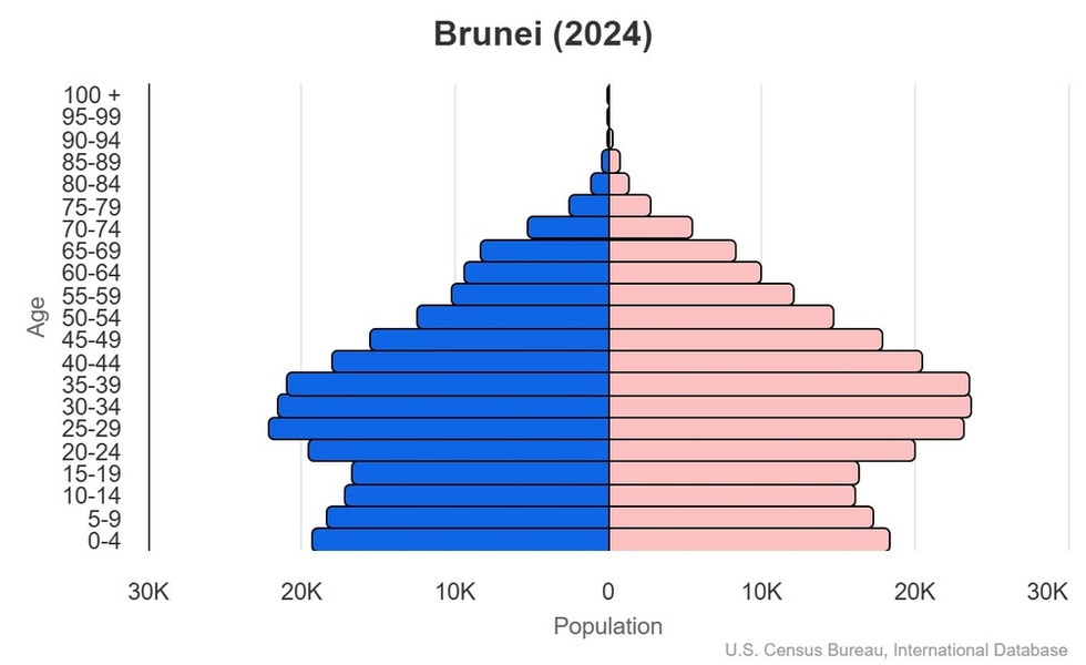 This is the population pyramid for Brunei. A population pyramid illustrates the age and sex structure of a country's population and may provide insights about political and social stability, as well as economic development. The population is distributed along the horizontal axis, with males shown on the left and females on the right. The male and female populations are broken down into 5-year age groups represented as horizontal bars along the vertical axis, with the youngest age groups at the bottom and the oldest at the top. The shape of the population pyramid gradually evolves over time based on fertility, mortality, and international migration trends. <br/><br/>For additional information, please see the entry for Population pyramid on the Definitions and Notes page.