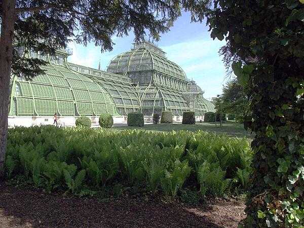 The massive Palmenhaus is the most prominent of four greenhouses on the grounds of Schoenbrunn Palace. Opened in 1882, it is among the largest botanical exhibits of its kind in the world, housing some 4,500 species (most tropical).