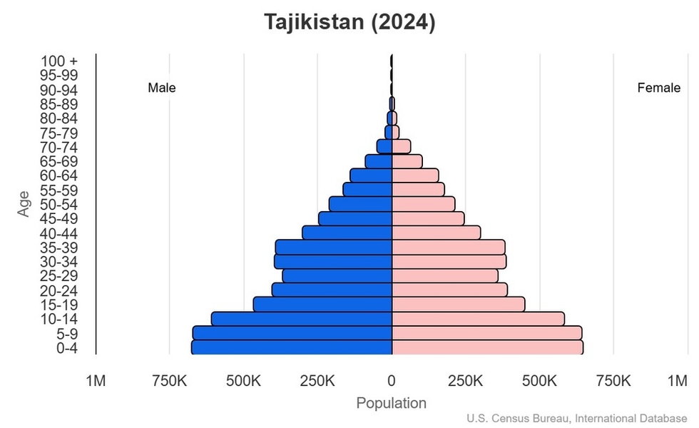 This is the population pyramid for Tajikistan. A population pyramid illustrates the age and sex structure of a country's population and may provide insights about political and social stability, as well as economic development. The population is distributed along the horizontal axis, with males shown on the left and females on the right. The male and female populations are broken down into 5-year age groups represented as horizontal bars along the vertical axis, with the youngest age groups at the bottom and the oldest at the top. The shape of the population pyramid gradually evolves over time based on fertility, mortality, and international migration trends. <br/><br/>For additional information, please see the entry for Population pyramid on the Definitions and Notes page.