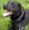 CIA dog named Larry