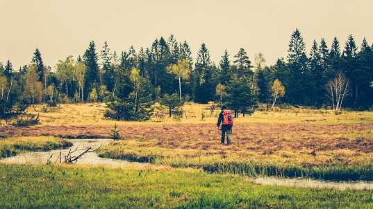 Rear view of a survivalist man with a backpack walking across a meadow with a river in a forest.