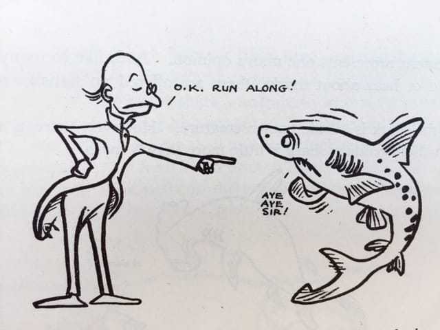 A cartoon illustration of a man pointing at a shark saying "O.K. RUN ALONG!" with a shivering shark responding "AYE AYE SIR!"