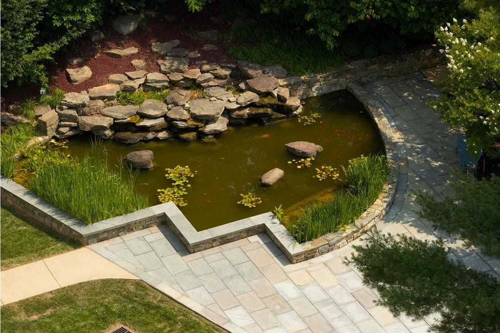 A top down view of the garden's fishpond.