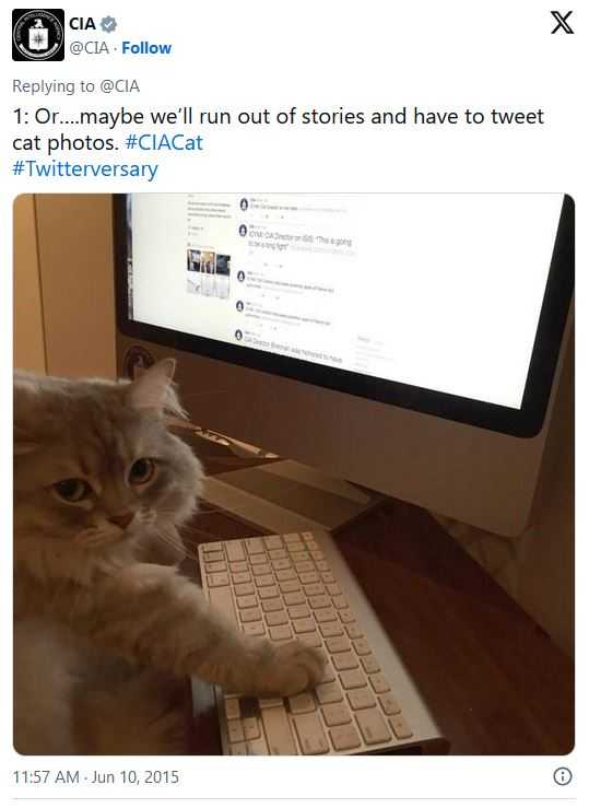 Twitter post that reads: "Or...maybe we'll run out of stories and have to tweet cat photos." Hashtags: CIA cat and Twitterversary. Image of a cat sitting in front of computer screen open to CIA twitter posts.