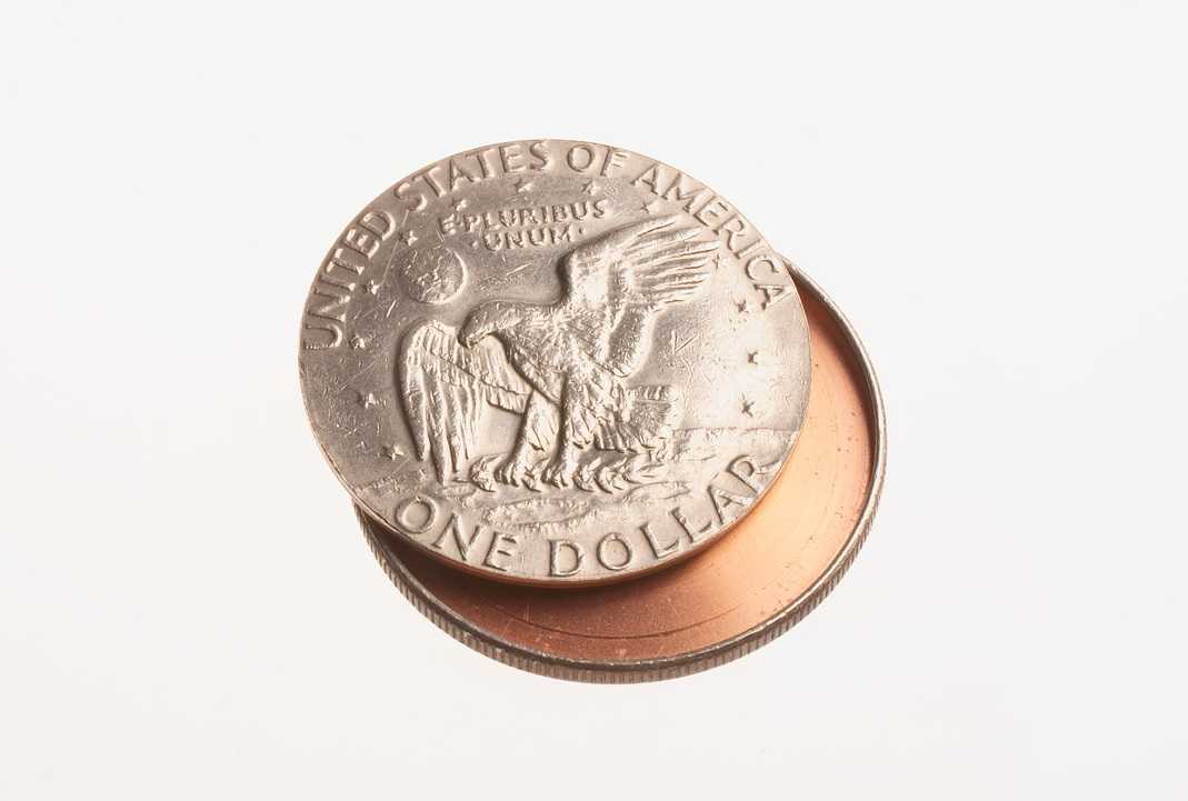 Silver Dollar