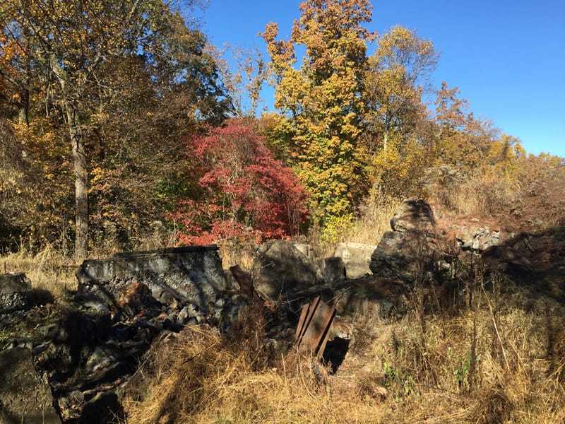 A bright color photograph of small and aged building ruins enveloped in weeds.