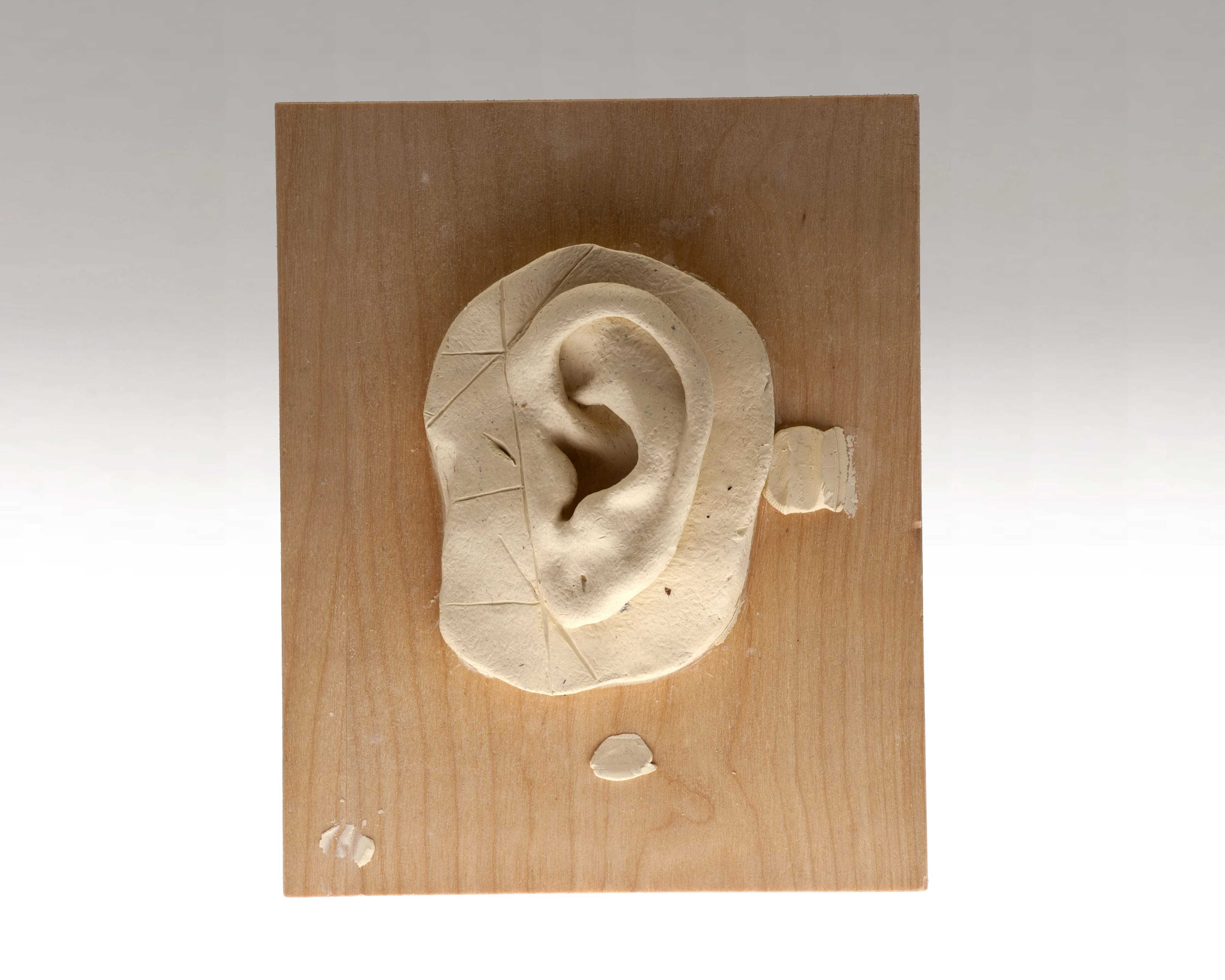 A realistic sculpted human ear made by a disguise specialist applicant