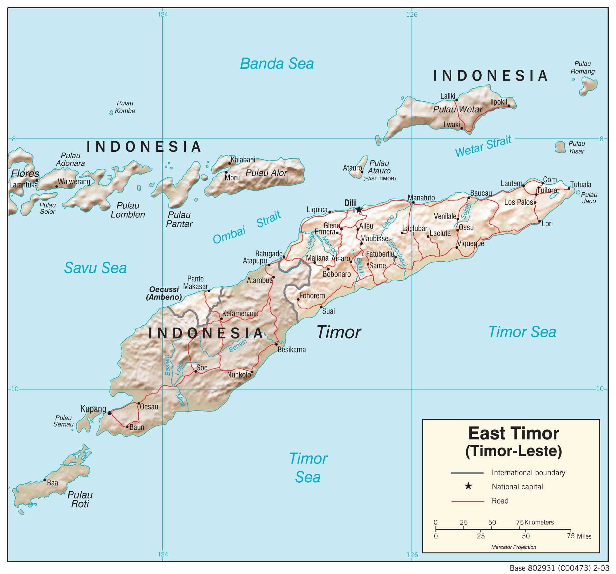 Physiographical map of Timor Leste.