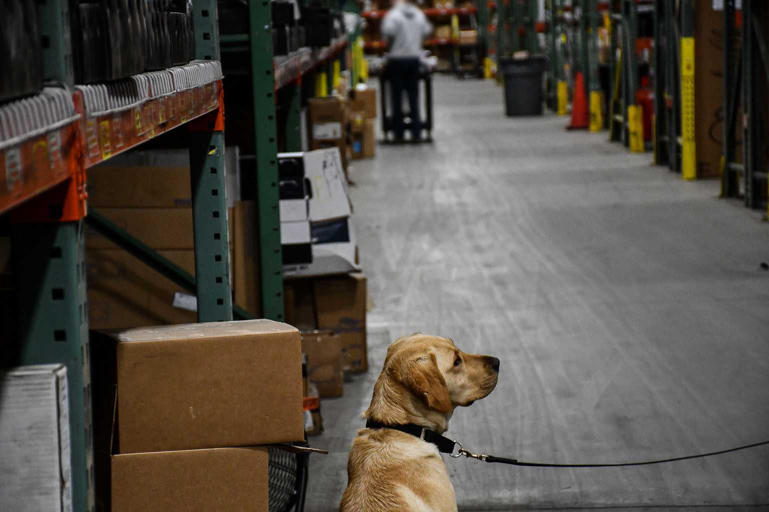 Heide searches a warehouse