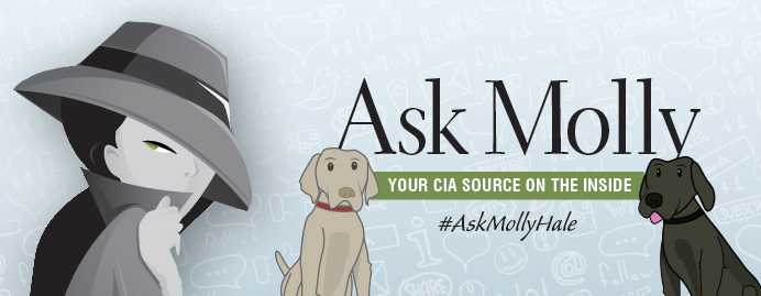 Ask Molly Dogs