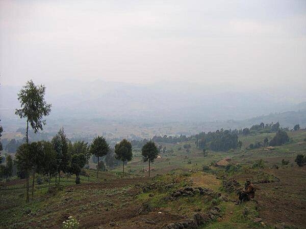 Rwanda hillside.