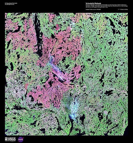 Extensive wetlands lie near the town of Yellowknife, just north of Great Slave Lake in the Northwest Territories. The hundreds of shallow lakes, shown as black in this false-color satellite image, have formed in grooves in the landscape that were carved by glaciers during the last Ice Age. The red in this image could represent grass or marshland, while the green is taller vegetation, such as shrubs and trees. Image courtesy of USGS.