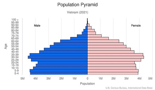 population pyramid