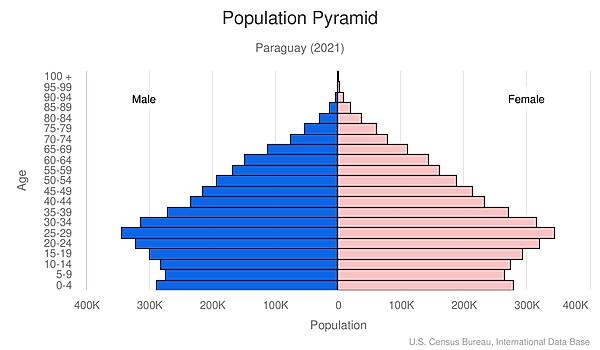 population pyramid