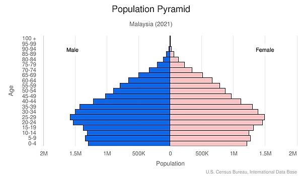 population pyramid
