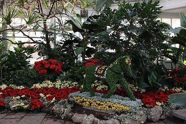 Inside one of the six conservatories at Allan Gardens, a park and indoor botanical garden in Toronto. Opened in 1860, Allan Gardens is one of the oldest parks in Toronto; it is named after a former mayor and senator who donated the land to the city.