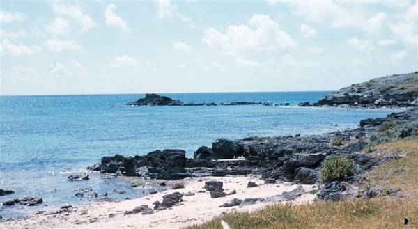 A view of Whalebone Bay. Photo courtesy of NOAA / Anthony R. Picciolo.