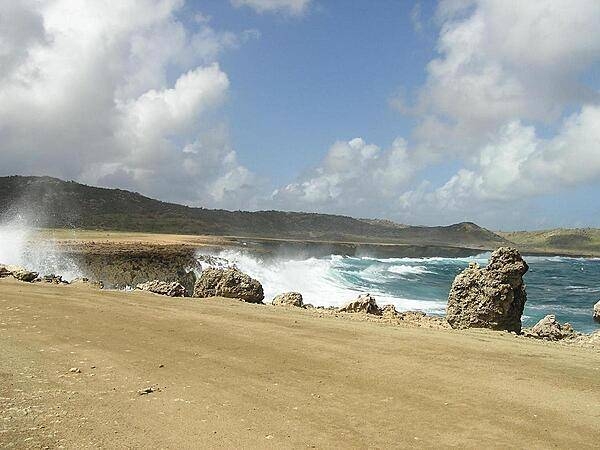 East shore near Budi.