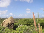 Aruba 2022 World Factbook Archive   AA 002 Large 