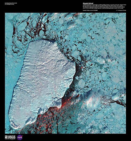 Akpatok Island, the largest island in Ungava Bay in northern Quebec, dominates this enhanced satellite image. Accessible only by air, Akpatok Island rises out of the water, sheer cliffs soar 150 to 245 m (500 to 800 ft) above the sea surface. The island is uninhabited, except for a Dorset (paleo-Eskimo) settlement that was abandoned by 1900 and a defunct exploratory oil drill, built in 1971. The island is an important sanctuary for cliff-nesting seabirds including its namesake the Akpat or the Thick-billed Murre, which nests in the pock-marked cliffs on the northern and southern ends of the island. Numerous ice floes around the island attract walrus and whales, making Akpatok a traditional hunting ground for native Inuit people. Image courtesy of USGS.