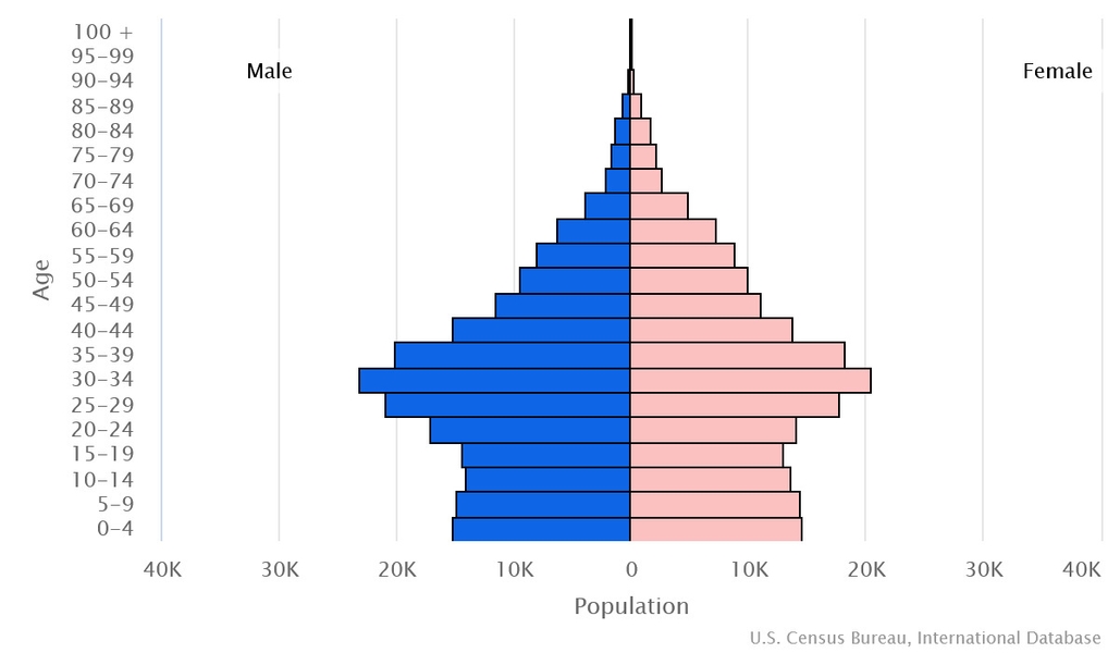 2023 population pyramid