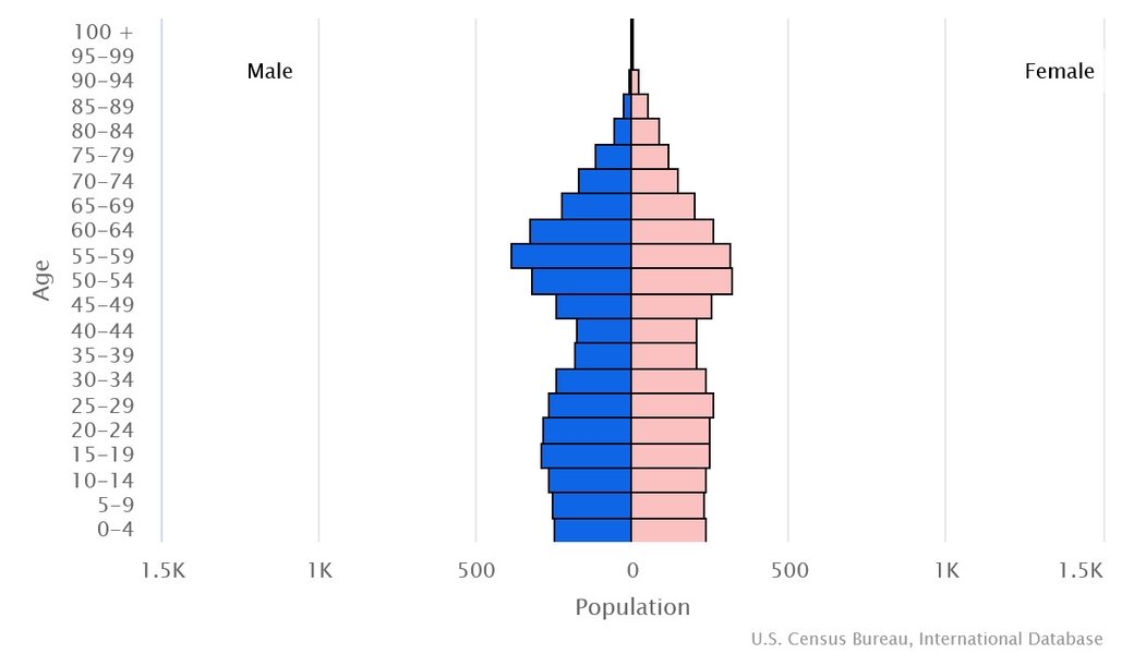 2023 population pyramid