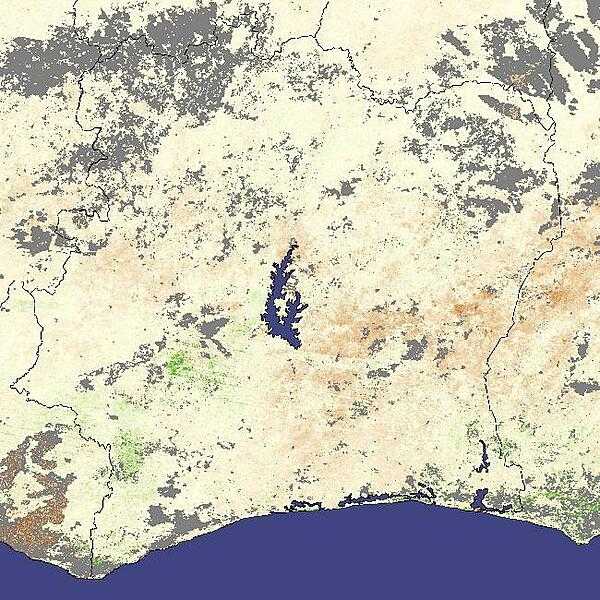 An image of West Africa's Ivory Coast region in 2007, when wet-season rains came late. Though the rain had started to alleviate the drought, vegetation was still depressed in parts of Côte d'Ivoire (Ivory Coast) between 22 March and 6 April 2007, when NASA's Terra satellite captured the data used to make this photo. The image compared vegetation at that time to average conditions recorded since 2000. The three major rivers that cross the country from north to south are almost invisible, leaving only central Lake Kossou conspicuous as a major water body. Image courtesy of NASA.