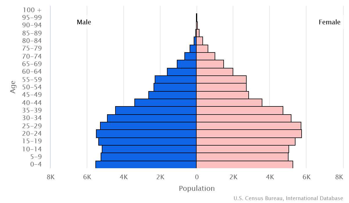 2023 population pyramid