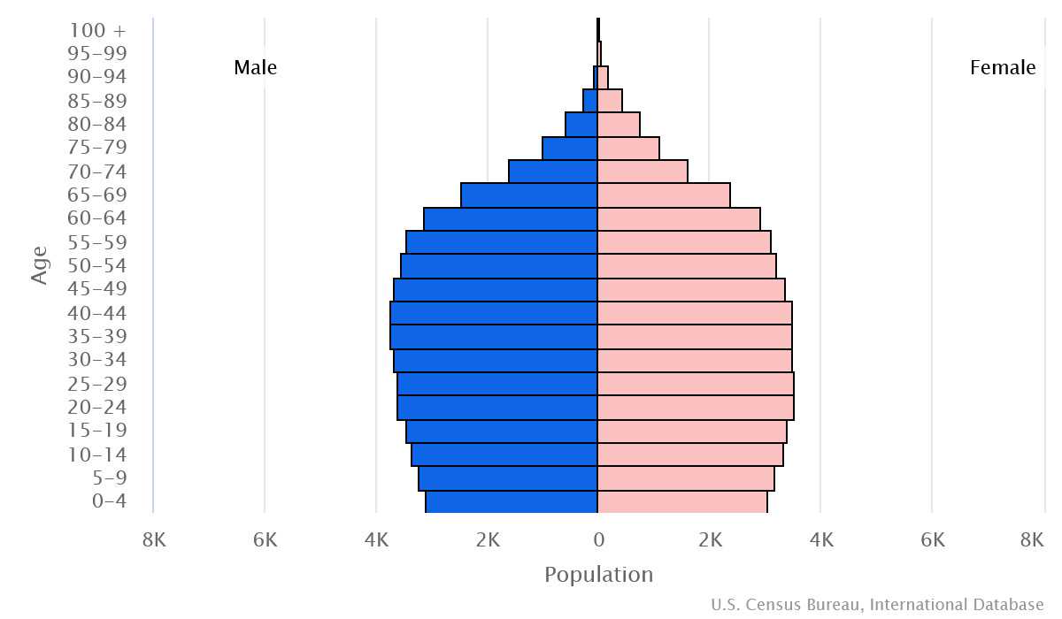 2023 population pyramid