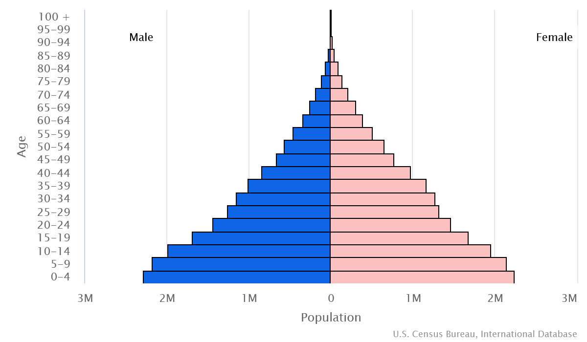 2023 population pyramid