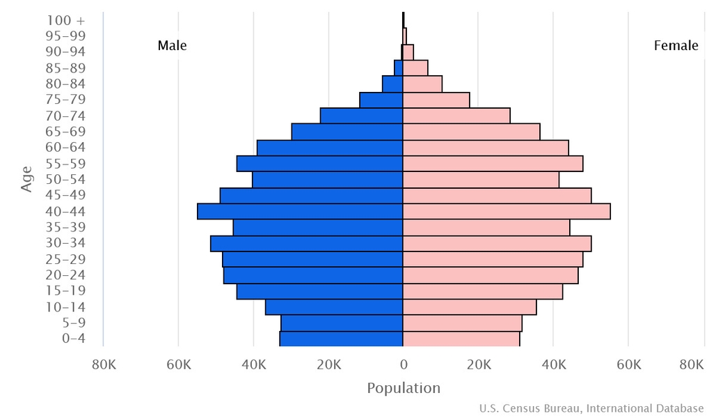 2023 population pyramid