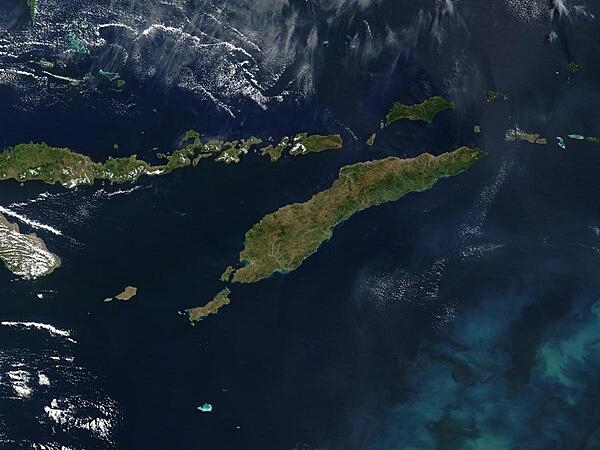 Southeast of the island of Timor (center), a phytoplankton bloom is coloring the waters of the Timor Sea, which separates Timor from northwestern Australia. To the north of Timor is Flores, which is home to numerous active volcanoes, but the red dots are due to fire, not volcanic activity.  Image courtesy of NASA.