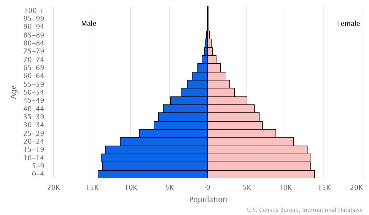 2023 population pyramid