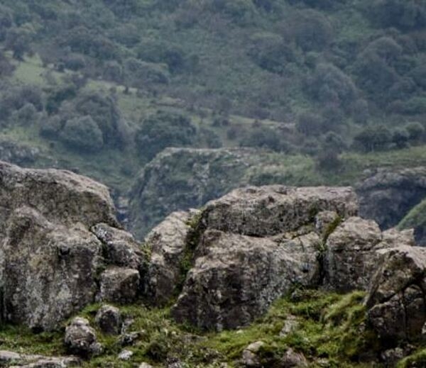 The Simien Mountains are located in northern Ethiopia; the highest peak is Ras Dashen at 4,543 m.  The Simien National Park was one of the first locations to be recognized by UNESCO as a World Heritage site for its conservation of threatened species.