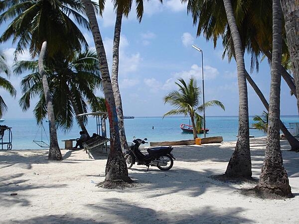 Looking out onto lagoon waters from a palm-shaded beach.