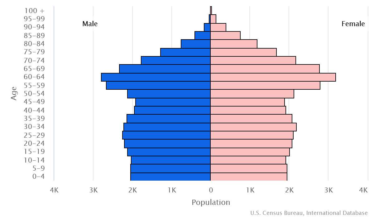 2023 population pyramid