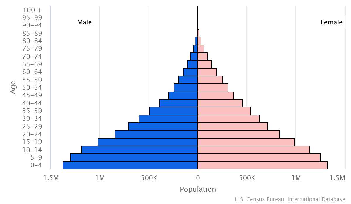 2023 population pyramid