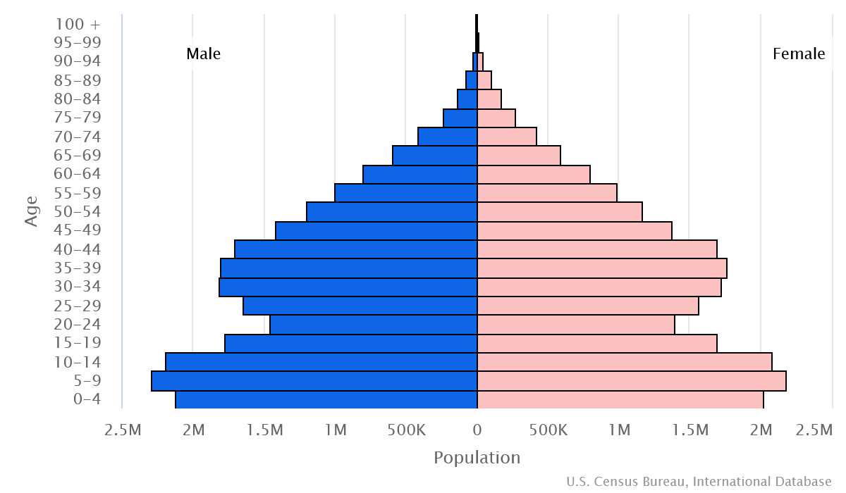 2023 population pyramid