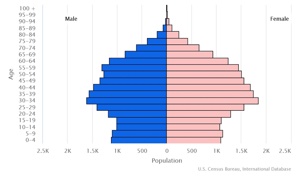 2023 population pyramid