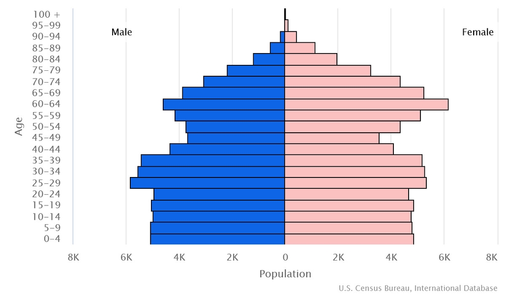 2023 population pyramid