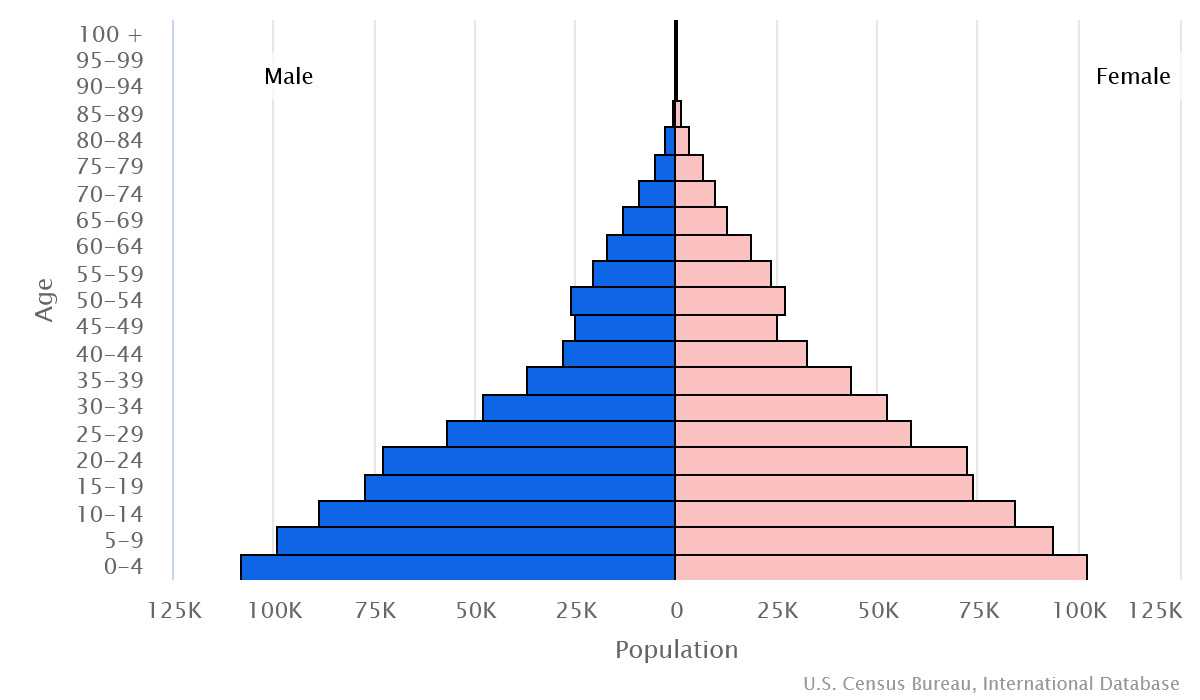 2023 population pyramid