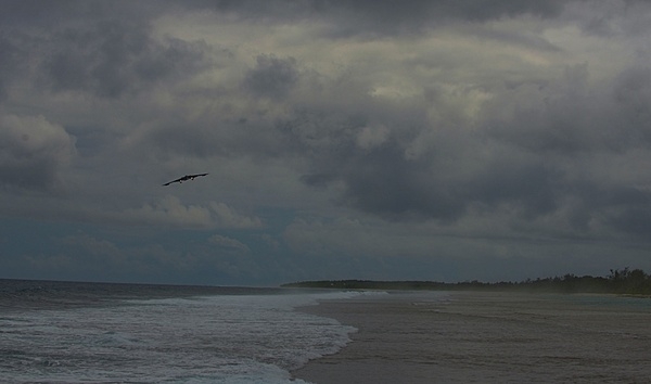 A B-2 Spirit Stealth Bomber arrives at Naval Support Facility Diego Garcia in the British Indian Ocean Territory, 12 August 2020. Photo courtesy of the US Air Force/ 1st Lt. Michael Hardy.