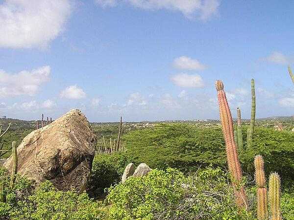 Desert vegetation at Arikok National Park in Aruba. The park extends over about 18% of the island.