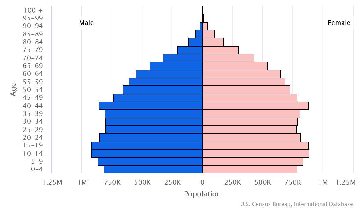 2023 population pyramid