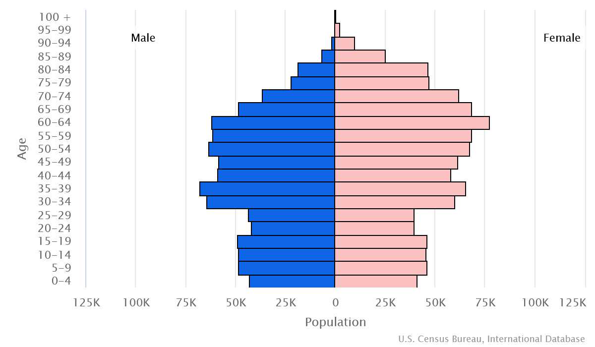 2023 population pyramid