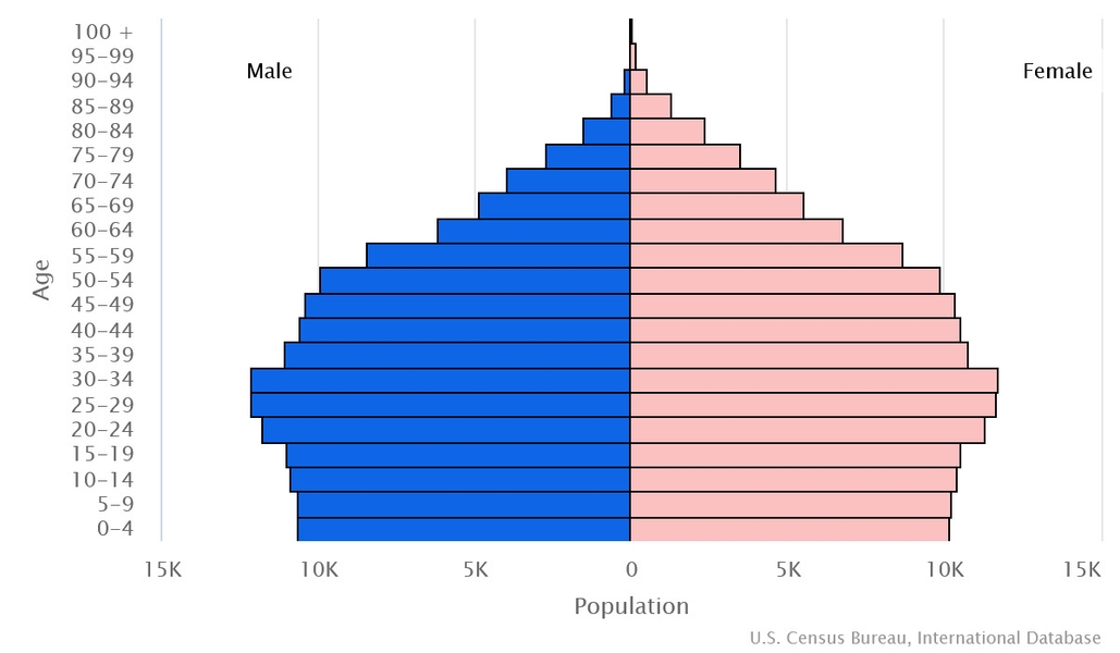 2023 population pyramid